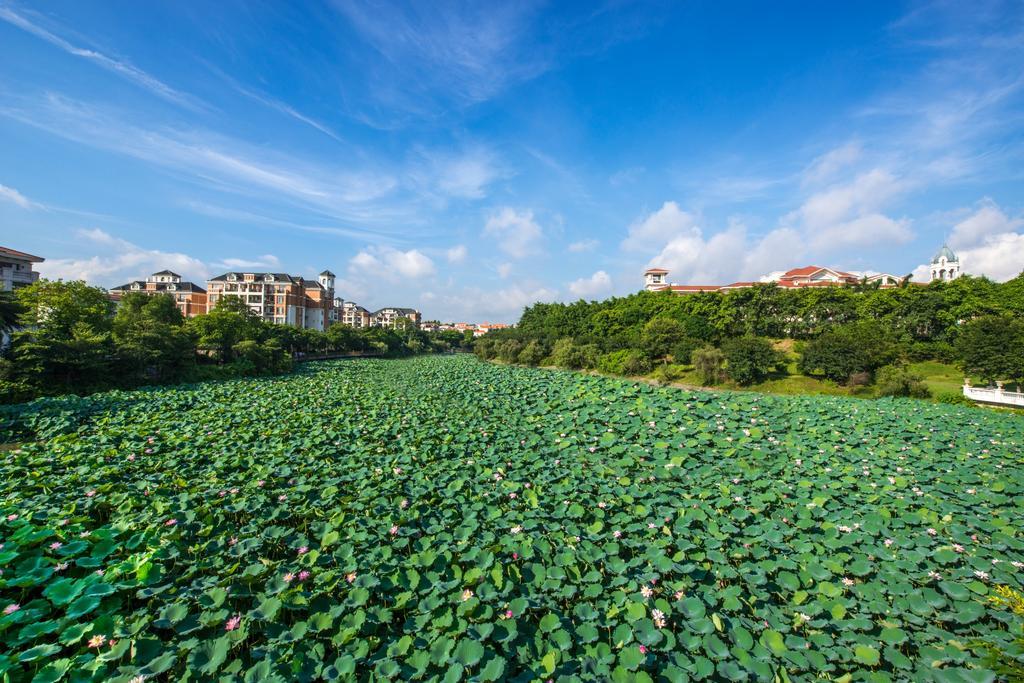 Heshan Phoenix Hotel Цзянмынь Экстерьер фото